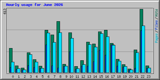Hourly usage for June 2026