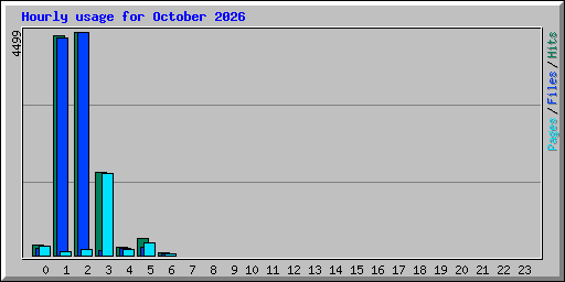 Hourly usage for October 2026